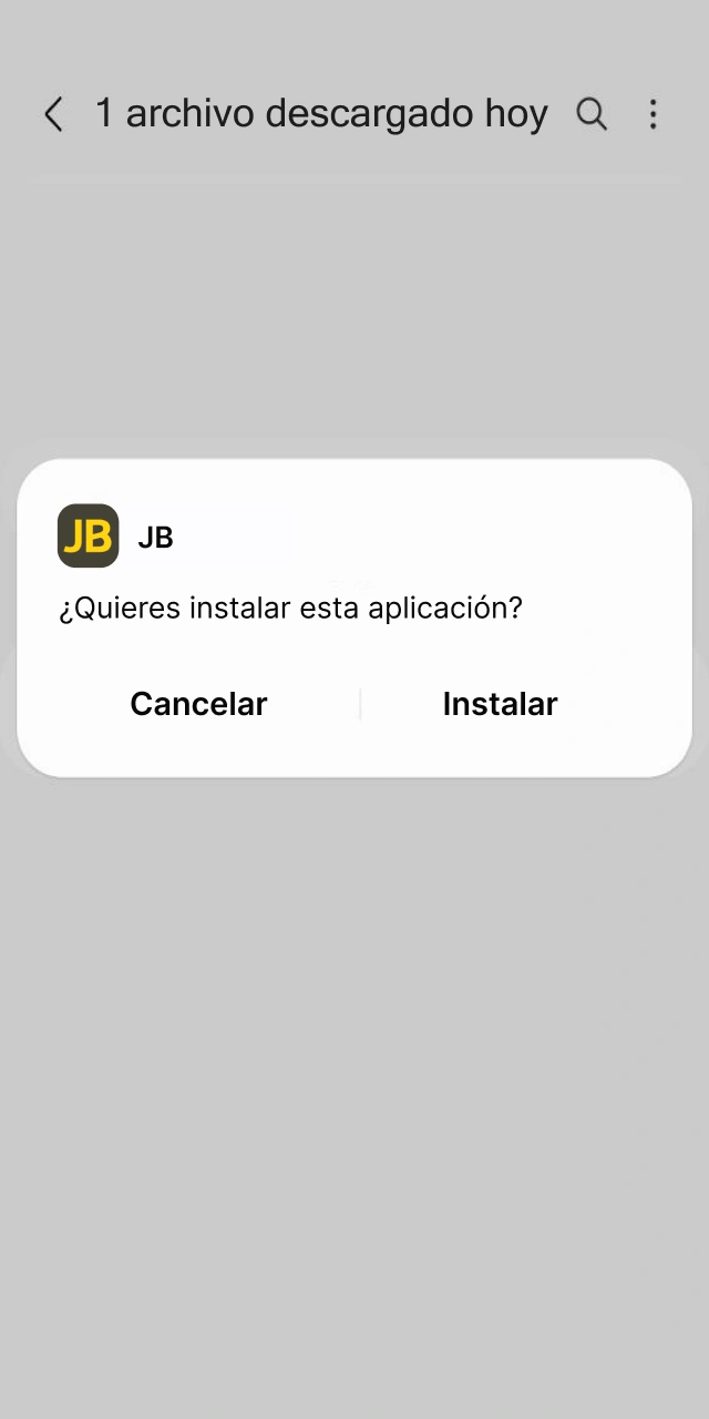 Confía en el perfil de seguridad de la JB iOS App instalada.